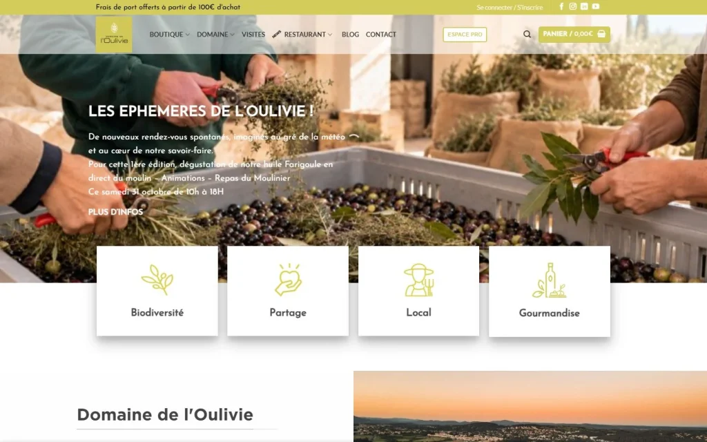 Page d'accueil du site Domaine de l’Oulivie sur ordinateur